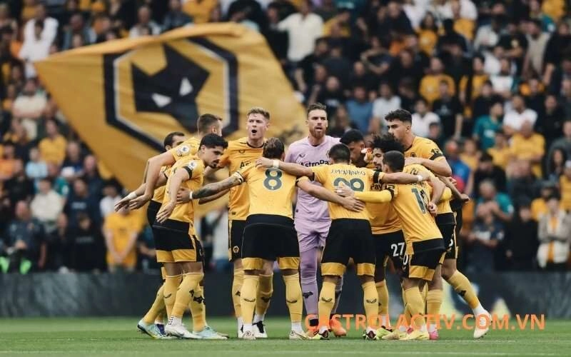 Phân tích dự đoán vị trí của Wolverhampton mùa này